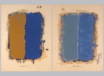 Extrait de série : Encres et pigments sur papier 101x65 cm 26/11/91